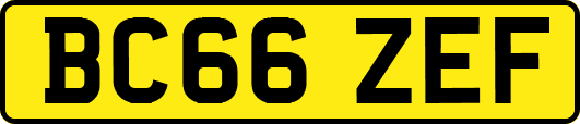 BC66ZEF
