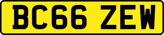 BC66ZEW