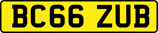 BC66ZUB