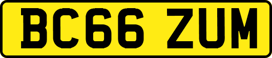 BC66ZUM