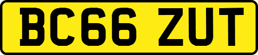 BC66ZUT