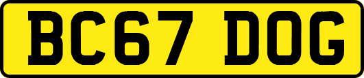 BC67DOG