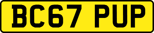 BC67PUP
