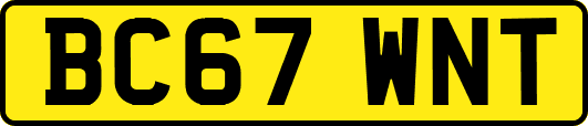 BC67WNT