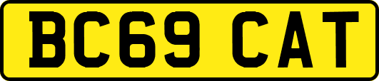 BC69CAT