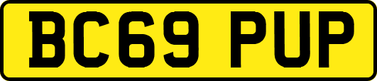 BC69PUP