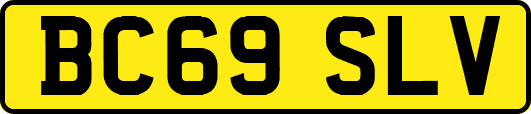 BC69SLV