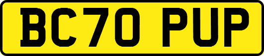 BC70PUP