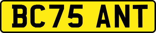 BC75ANT