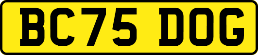 BC75DOG
