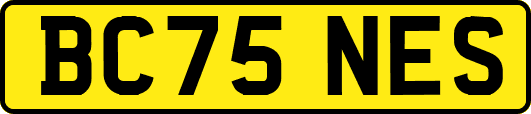 BC75NES