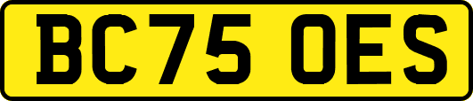 BC75OES