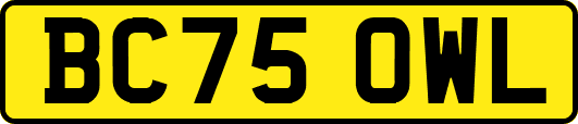 BC75OWL