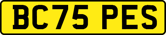 BC75PES