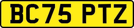 BC75PTZ