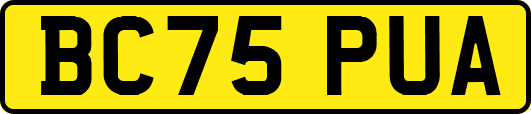 BC75PUA