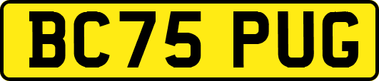 BC75PUG
