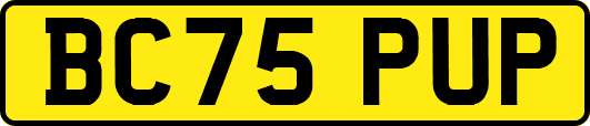 BC75PUP