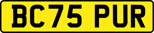 BC75PUR