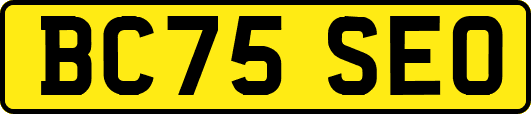 BC75SEO