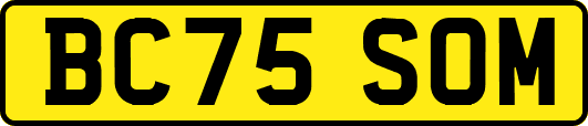 BC75SOM