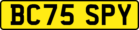 BC75SPY