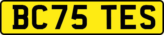 BC75TES