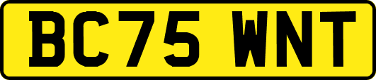 BC75WNT