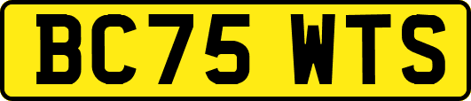 BC75WTS