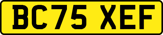 BC75XEF