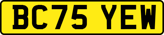 BC75YEW