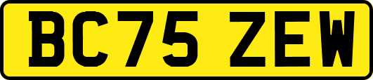 BC75ZEW