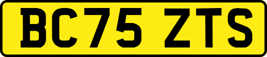 BC75ZTS