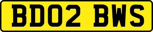 BD02BWS