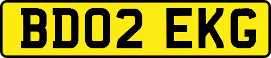 BD02EKG