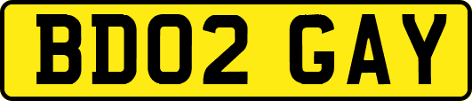 BD02GAY