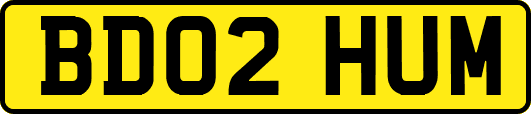 BD02HUM