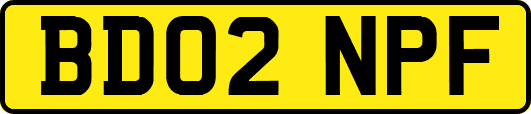 BD02NPF
