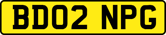 BD02NPG