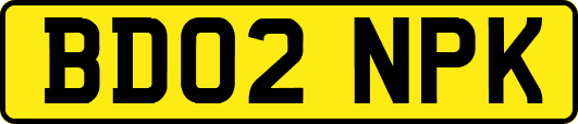 BD02NPK