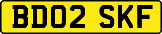 BD02SKF