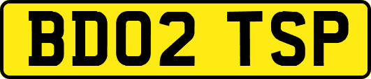 BD02TSP