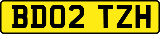 BD02TZH