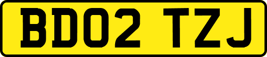 BD02TZJ