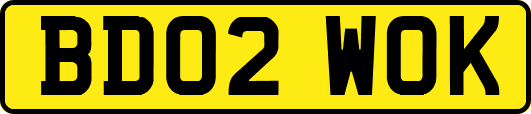 BD02WOK