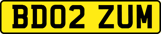 BD02ZUM