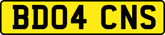 BD04CNS