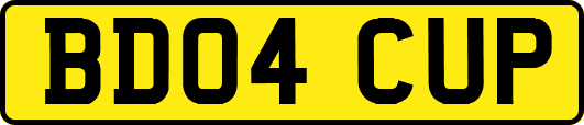 BD04CUP