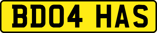 BD04HAS