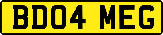 BD04MEG